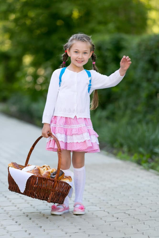 Gingham Picnic Dress